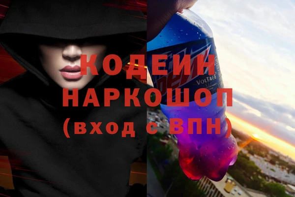 сатива Бородино