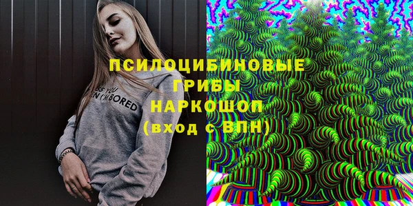 дмт Верхний Тагил