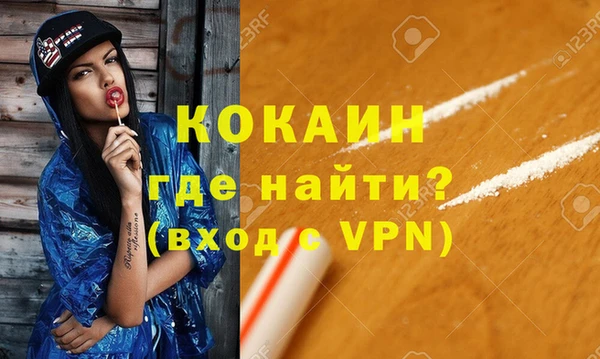сатива Бородино