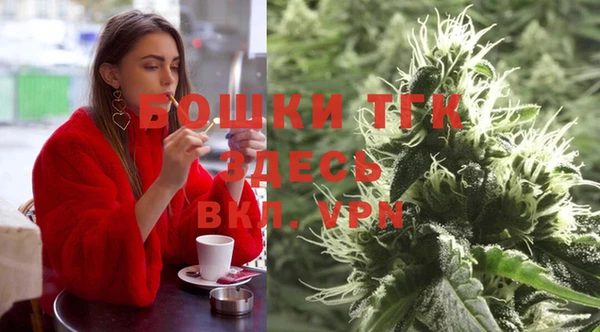 сатива Бородино