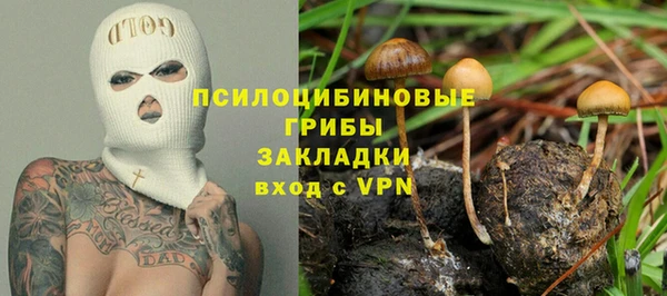 сатива Бугульма