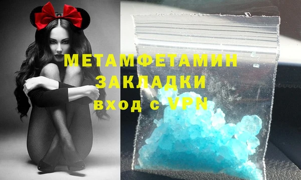 сатива Бородино