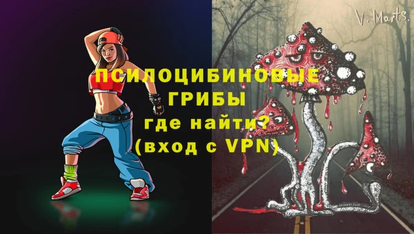 сатива Бородино