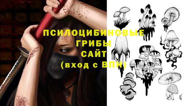 винт Бронницы
