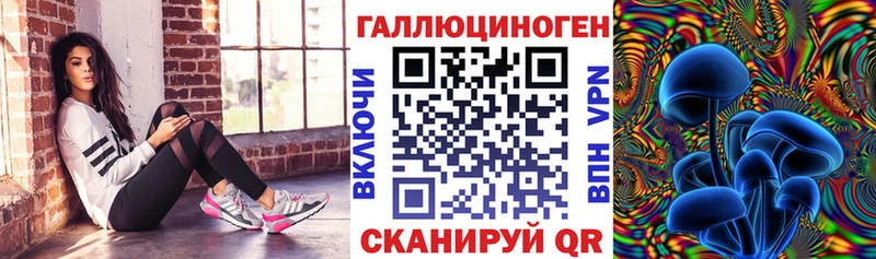где купить   Грозный  Псилоцибиновые грибы Magic Shrooms 